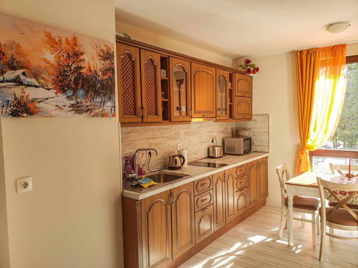 Lovely Borovets Apartment מראה חיצוני תמונה