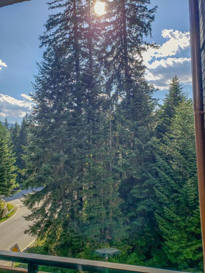 Lovely Borovets Apartment מראה חיצוני תמונה