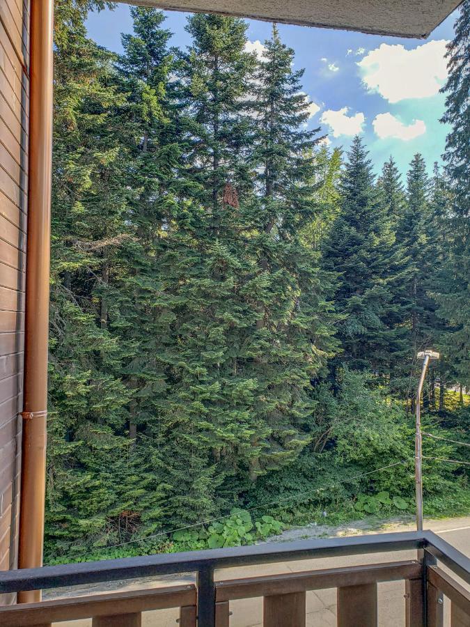 Lovely Borovets Apartment מראה חיצוני תמונה
