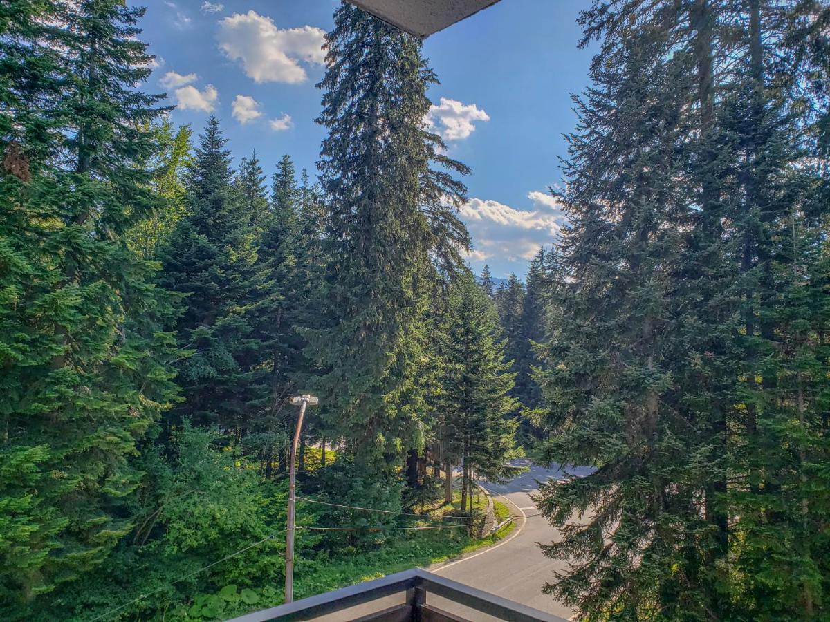 Lovely Borovets Apartment מראה חיצוני תמונה