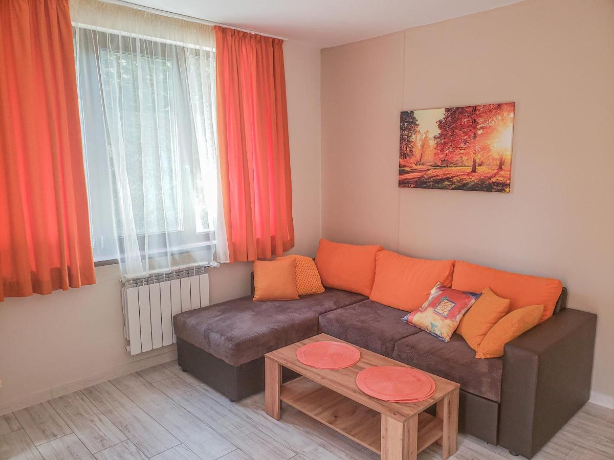Lovely Borovets Apartment מראה חיצוני תמונה