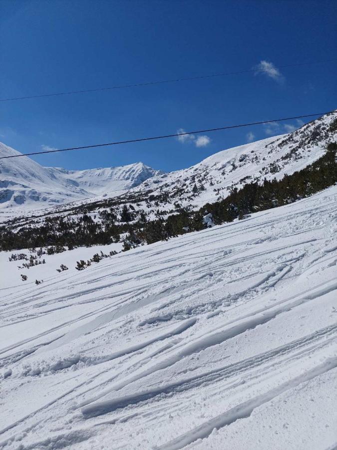 Lovely Borovets Apartment מראה חיצוני תמונה